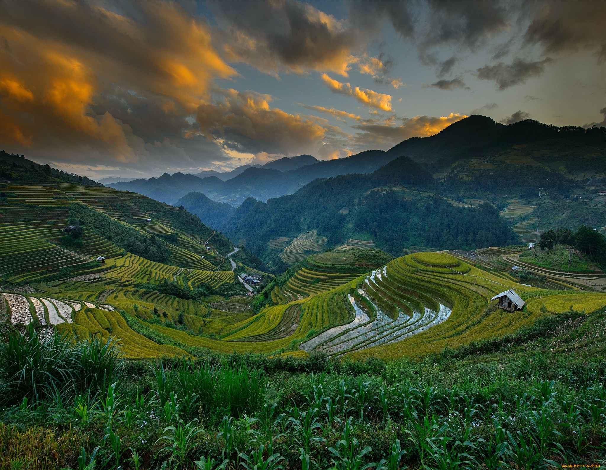 природа, поля, облака, небо, холмы, горы, вьетнам.